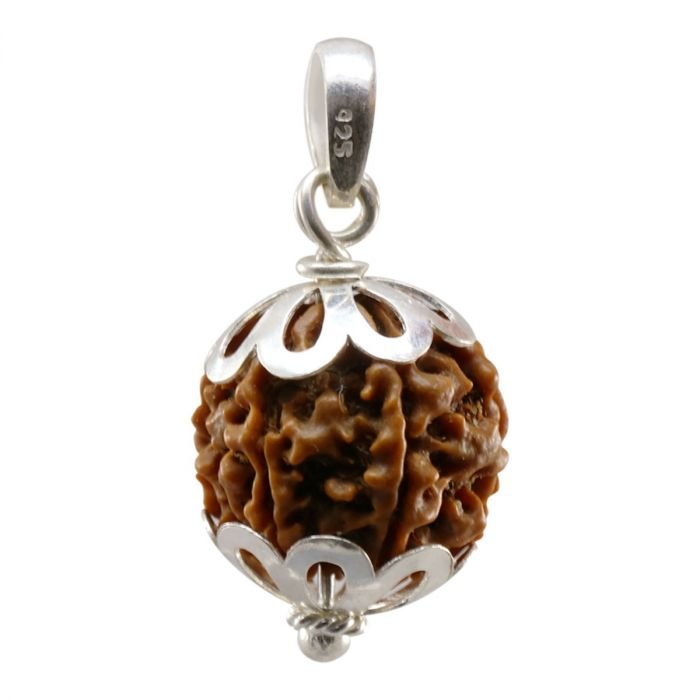 6 mukhi rudraksha with silver cap